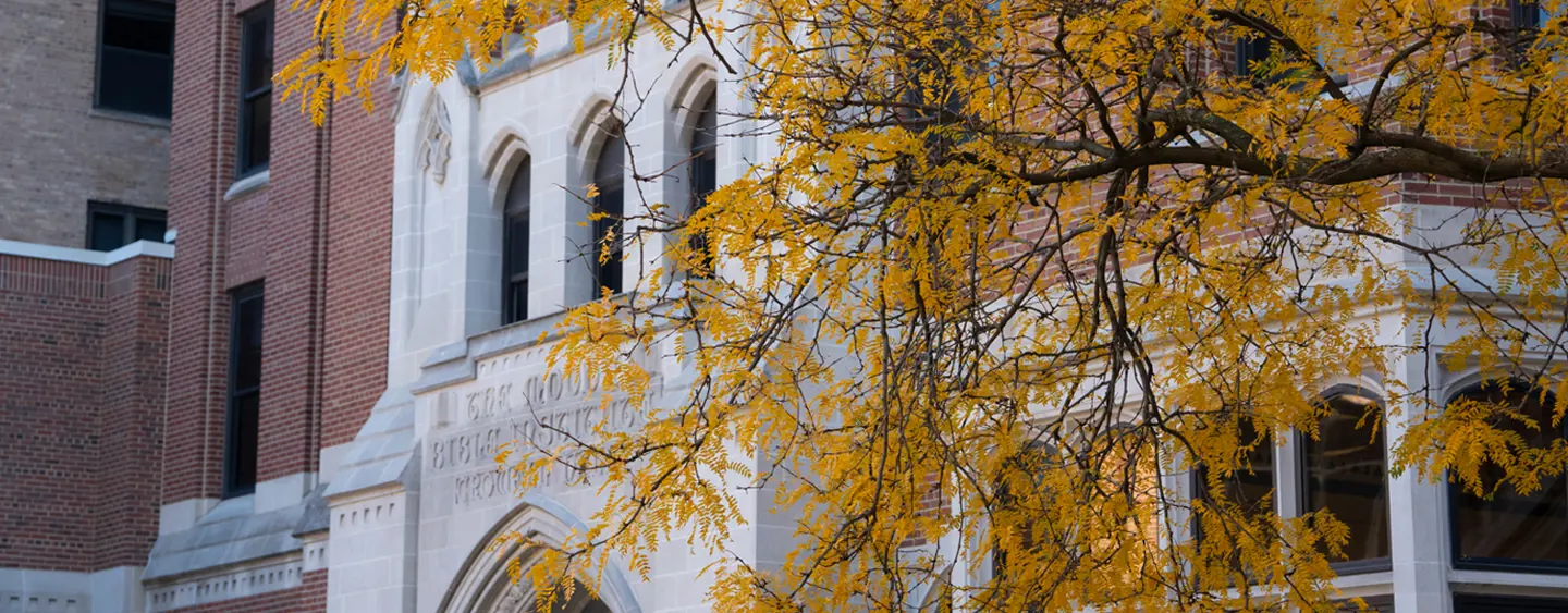 An autumn tree in Moody's plaza